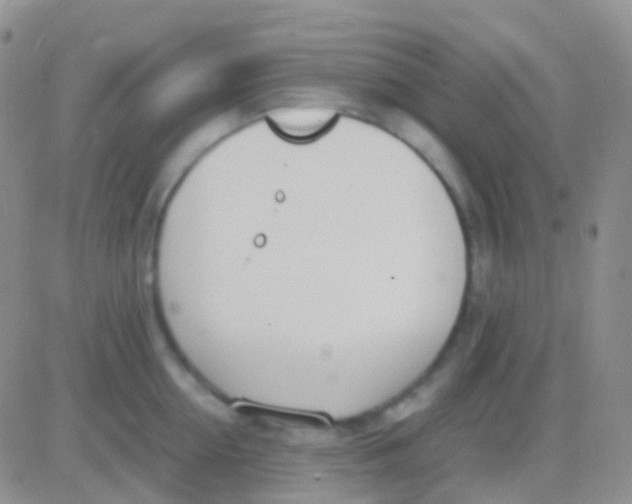 X0000083060954200702232018