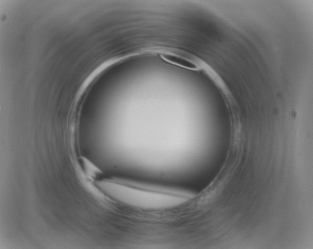 X0000083060955200702232018