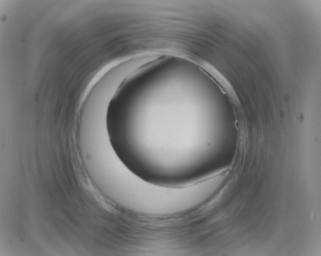 X0000083060956200702232018