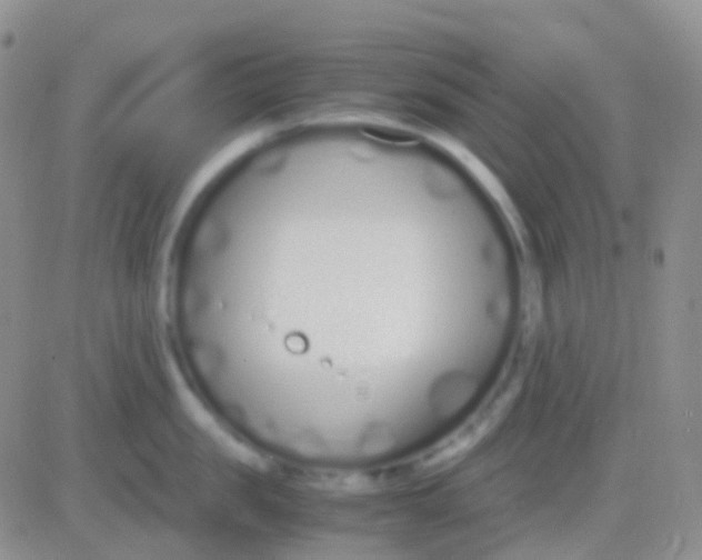 X0000083060957200702232018