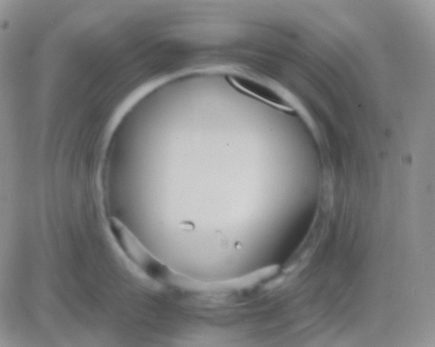 X0000083060959200702232018