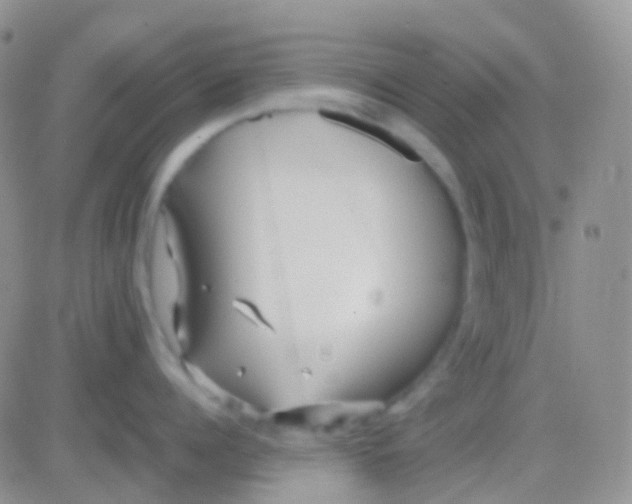 X0000083060960200702232018