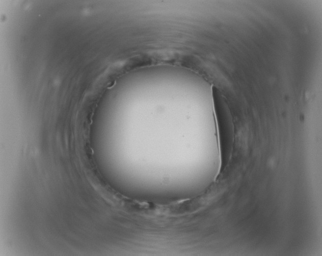 X0000083060961200702232017