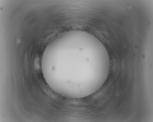 X0000083060962200702232017