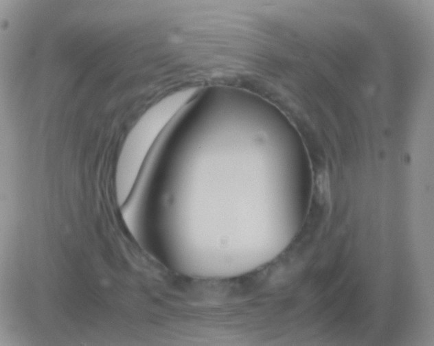 X0000083060963200702232017