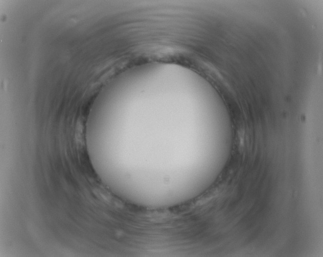 X0000083060964200702232017