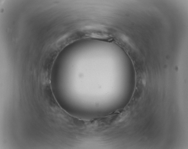 X0000083060965200702232017