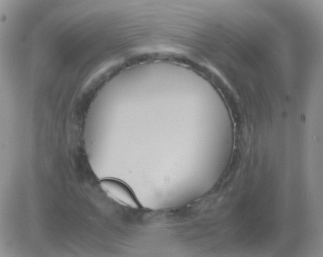 X0000083060967200702232017