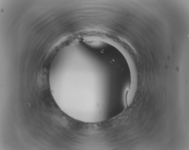 X0000083060968200702232017