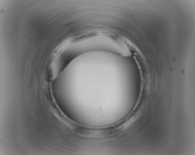 X0000083060969200702232017