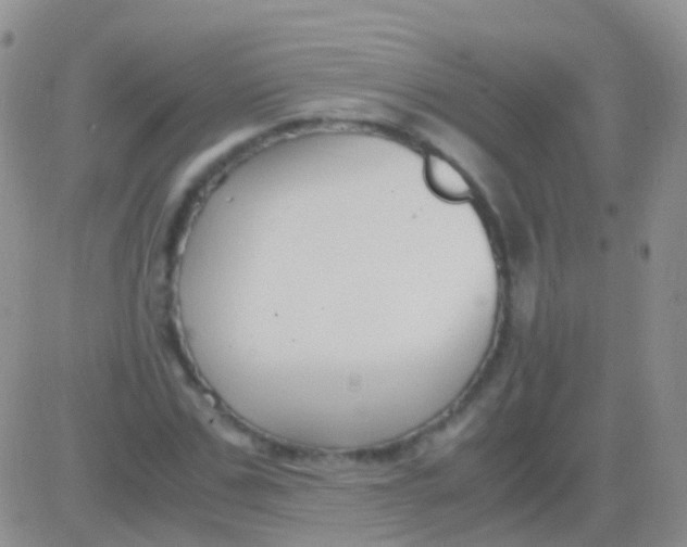 X0000083060971200702232017