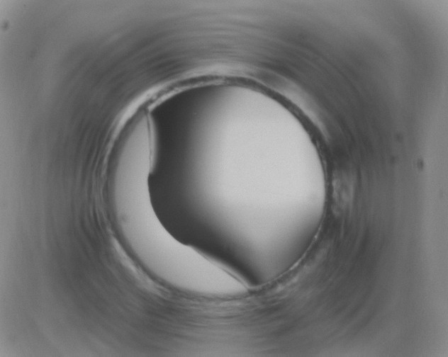 X0000083060972200702232017