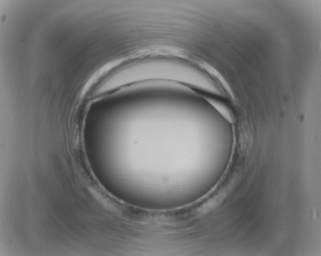 X0000083060973200702232017