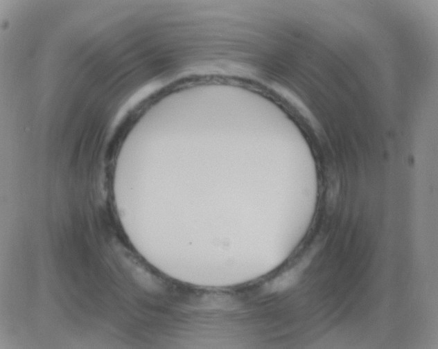 X0000083060974200702232017