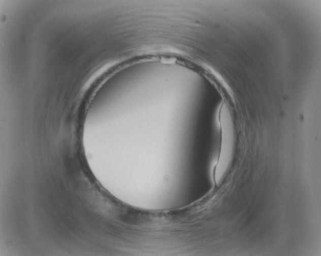 X0000083060975200702232017