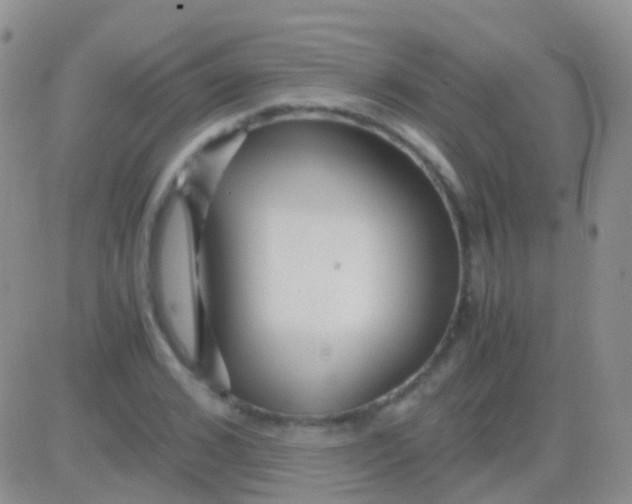 X0000083060976200702232017