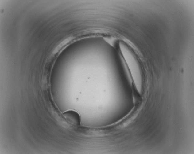 X0000083060977200702232017