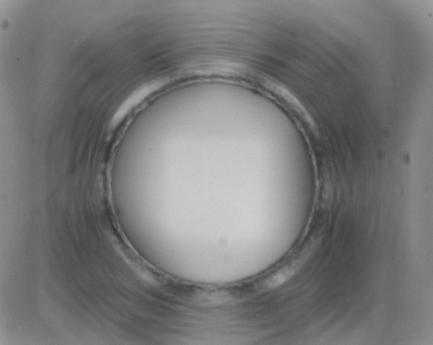 X0000083060978200702232017