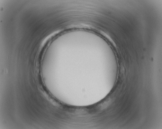 X0000083060979200702232017