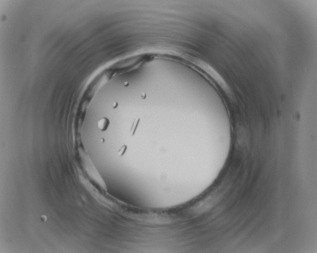 X0000083060980200702232017