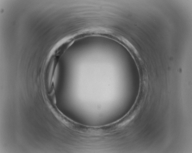 X0000083060981200702232017