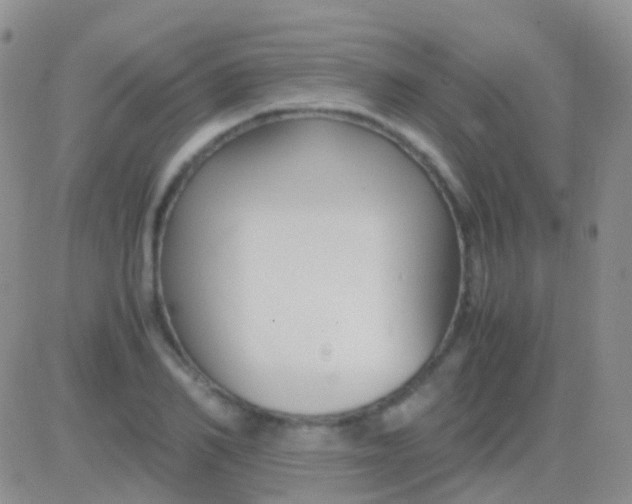 X0000083060982200702232017