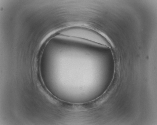 X0000083060983200702232017