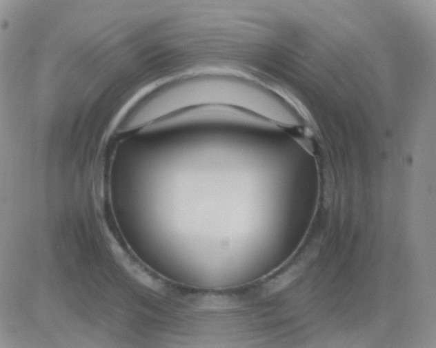 X0000083060984200702232017