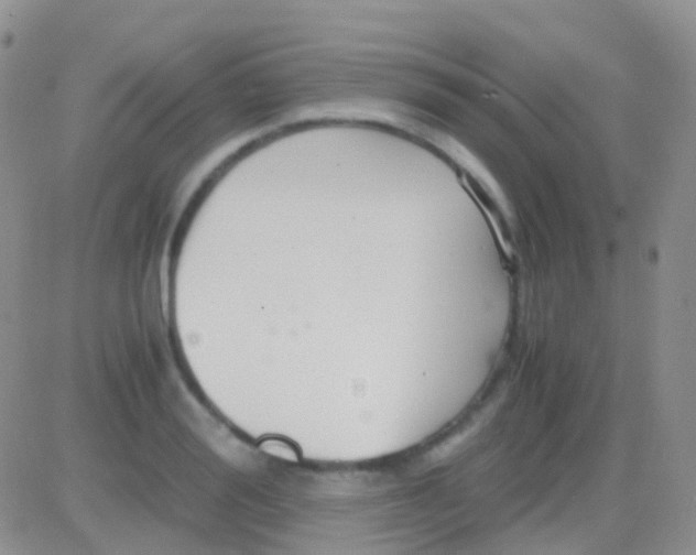 X0000083060988200702232017