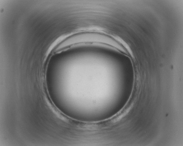 X0000083060989200702232017