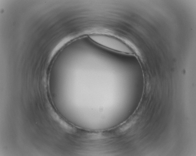 X0000083060990200702232016