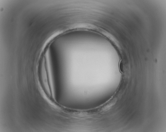 X0000083060991200702232016