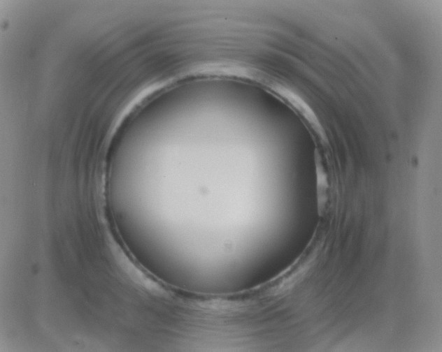 X0000083060992200702232016