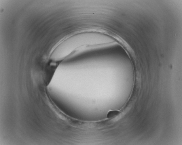 X0000083060993200702232016