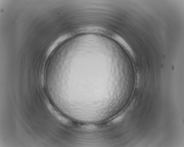 X0000083060994200702232016