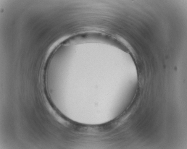 X0000083060995200702232016