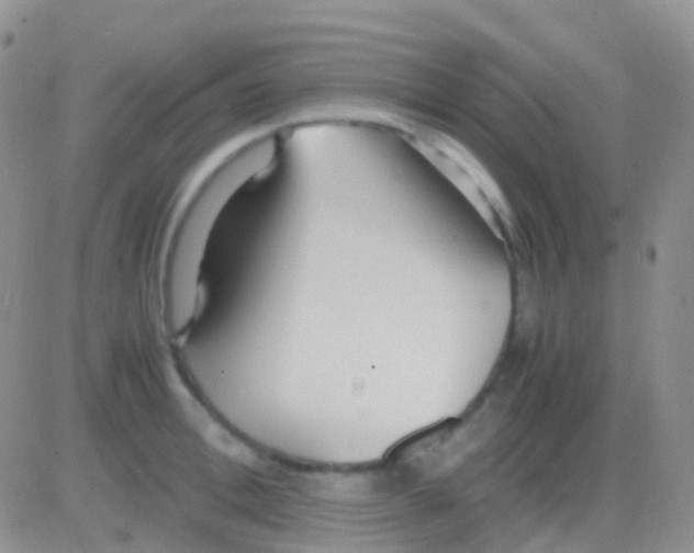 X0000083060996200702232016