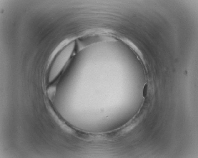 X0000083060997200702232016