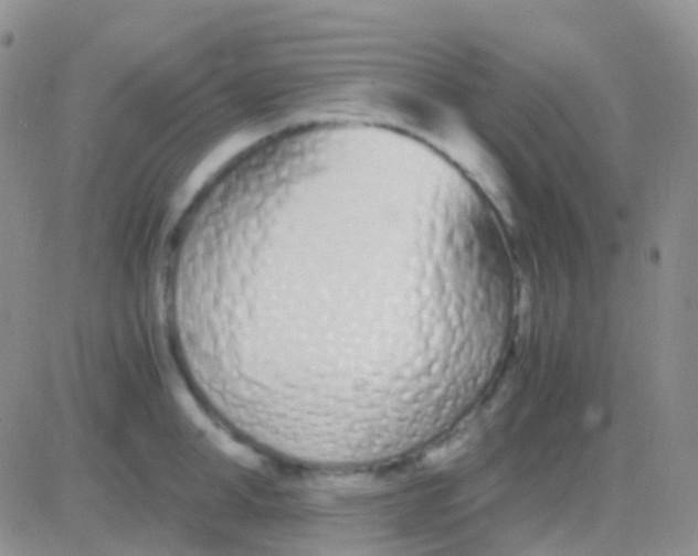 X0000083060998200702232016