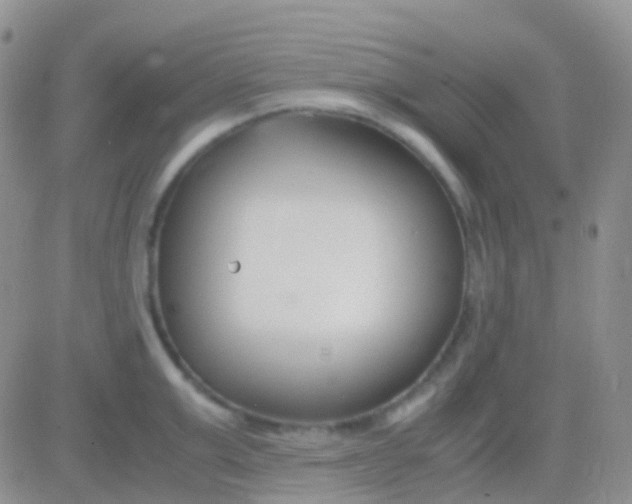 X0000083060999200702232016