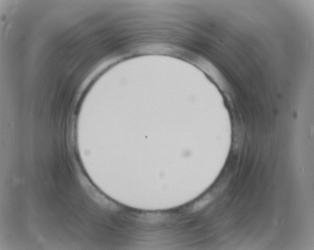 X0000083061000200702232016