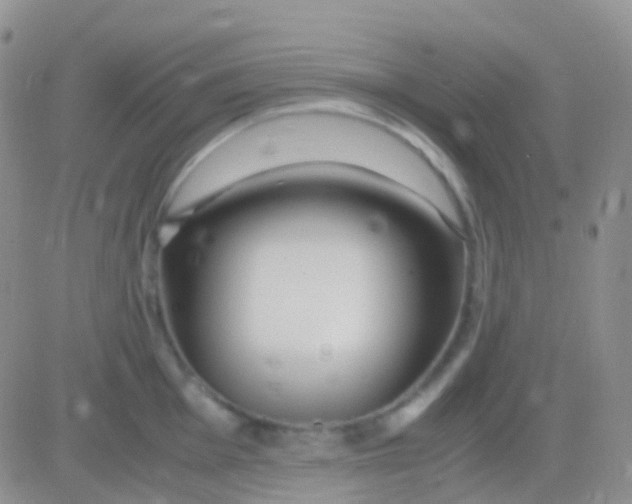 X0000083061001200702232016