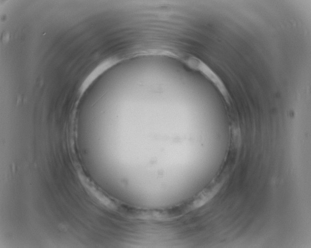 X0000083061002200702232016