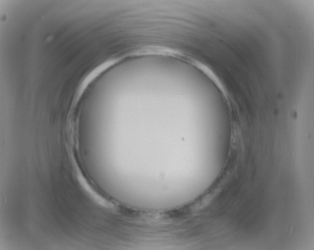 X0000083061003200702232016