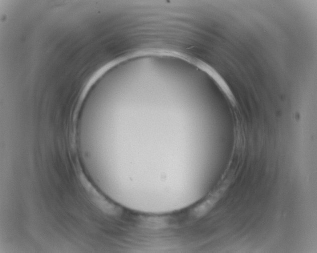 X0000083061004200702232016