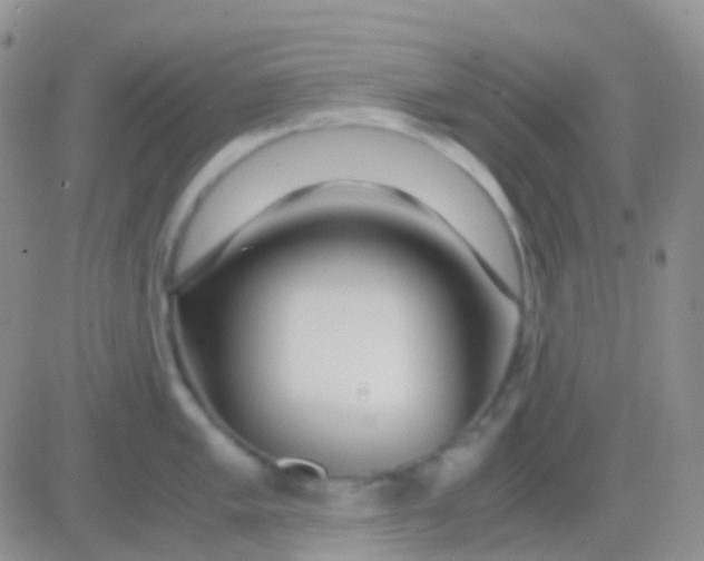 X0000083061005200702232016