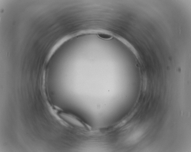 X0000083061006200702232016