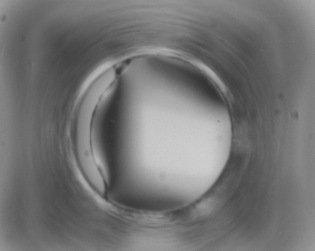 X0000083061007200702232016