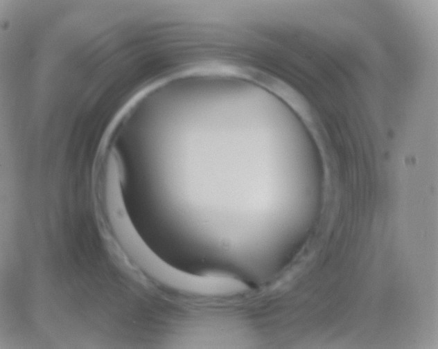 X0000083061008200702232016