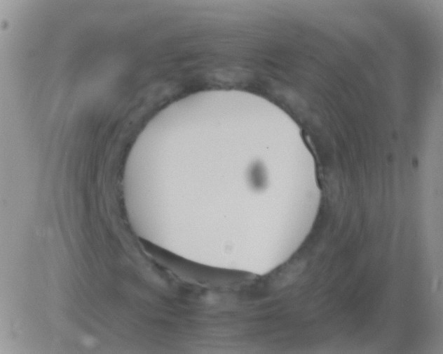 X0000083061009200702232015